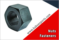 Nuts manufacturers exporters in India